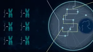 DNA, RNA, and Gene Expression