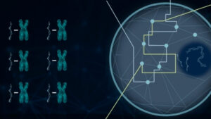 DNA, RNA, and Gene Expression