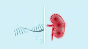 Biology of Graft Rejection & Damage