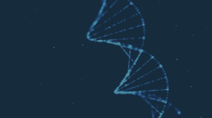 A New Alternative to Kidney Biopsies