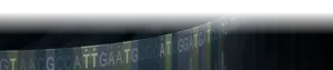 Sanger Sequence Background